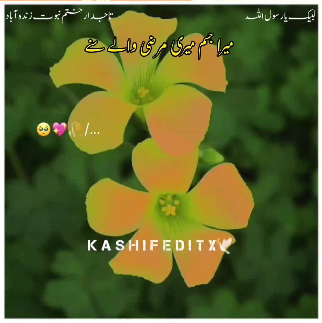 @Kashif Editx