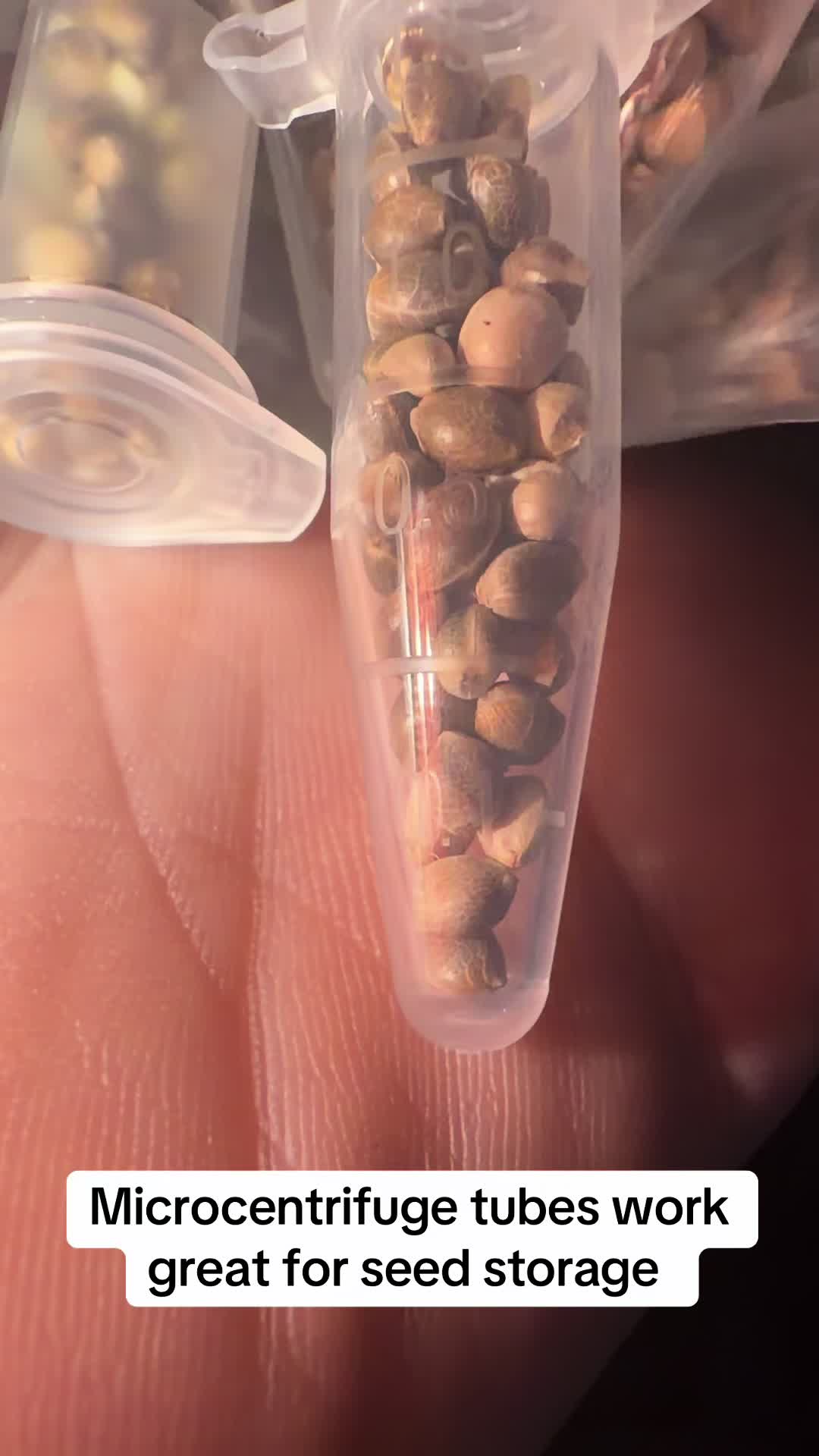 @SEEDTIVA