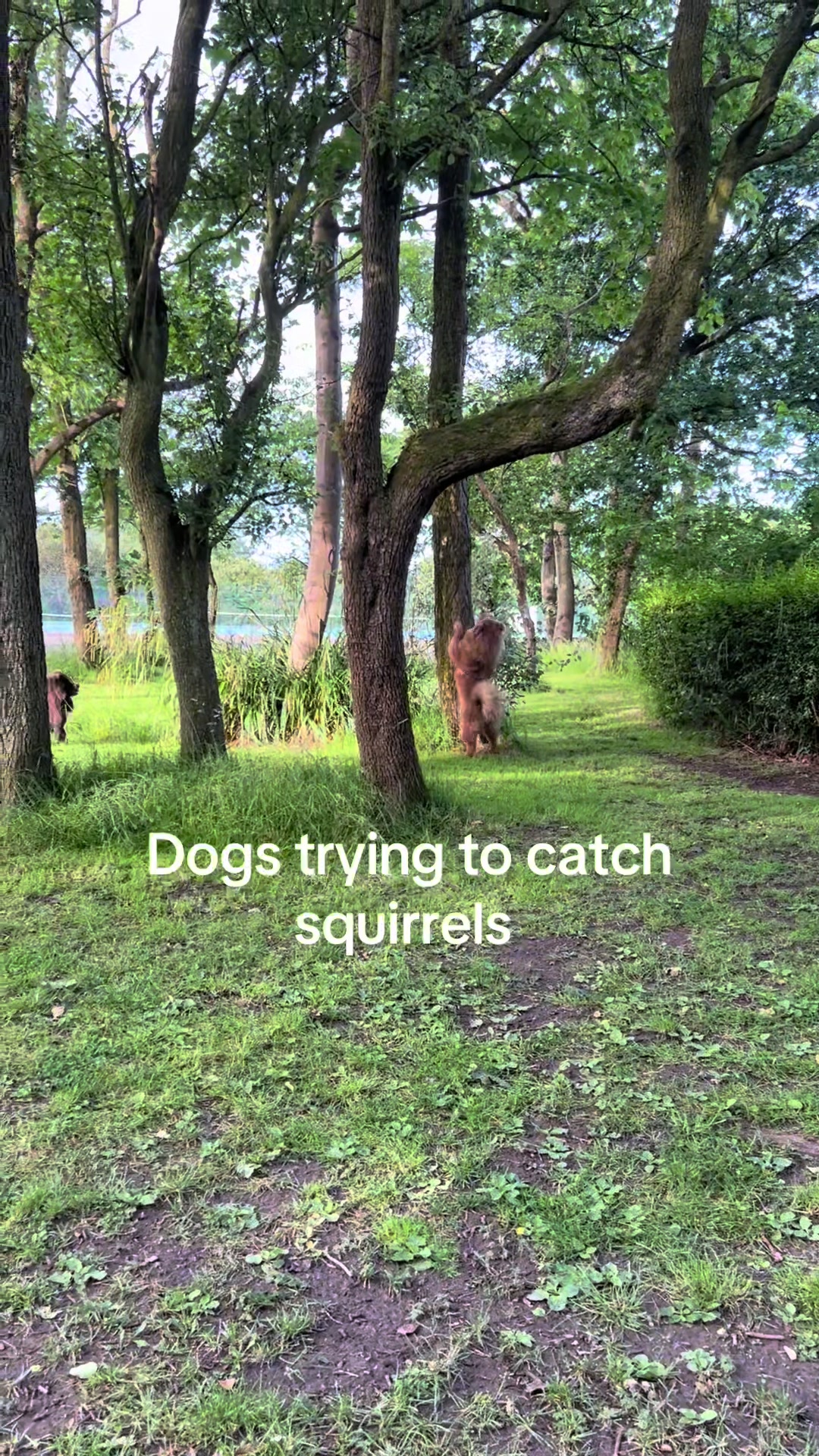 @dougiefisher23