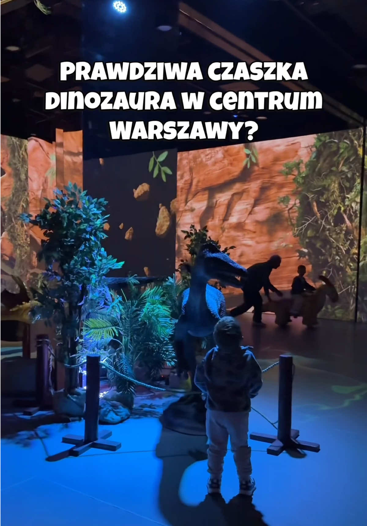 @Zwyczajna z Łodzi