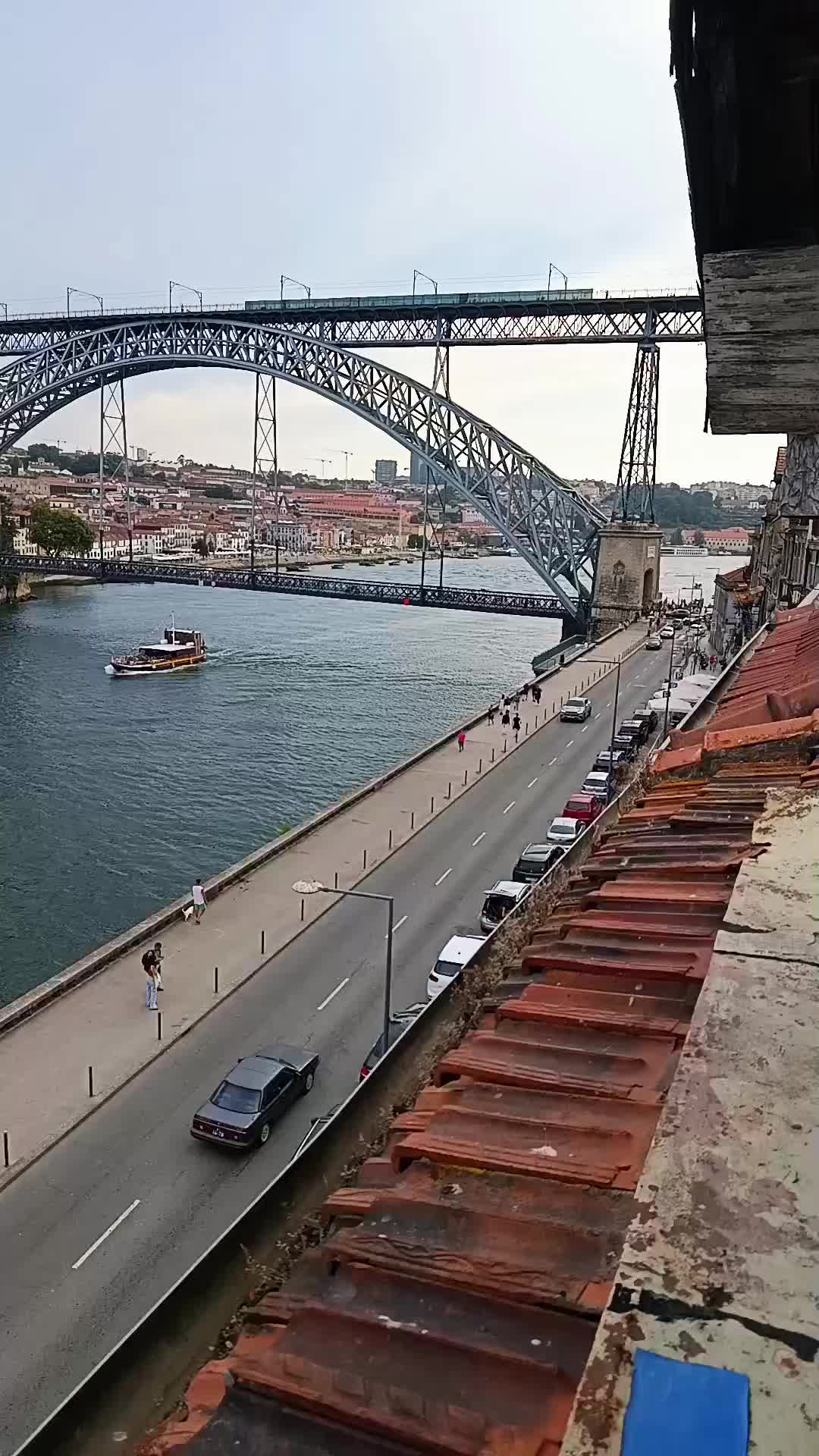 @porto ribeira
