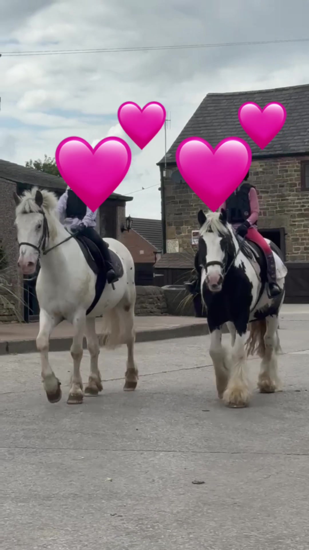 @LottiesHorseAdventures🦄🐴