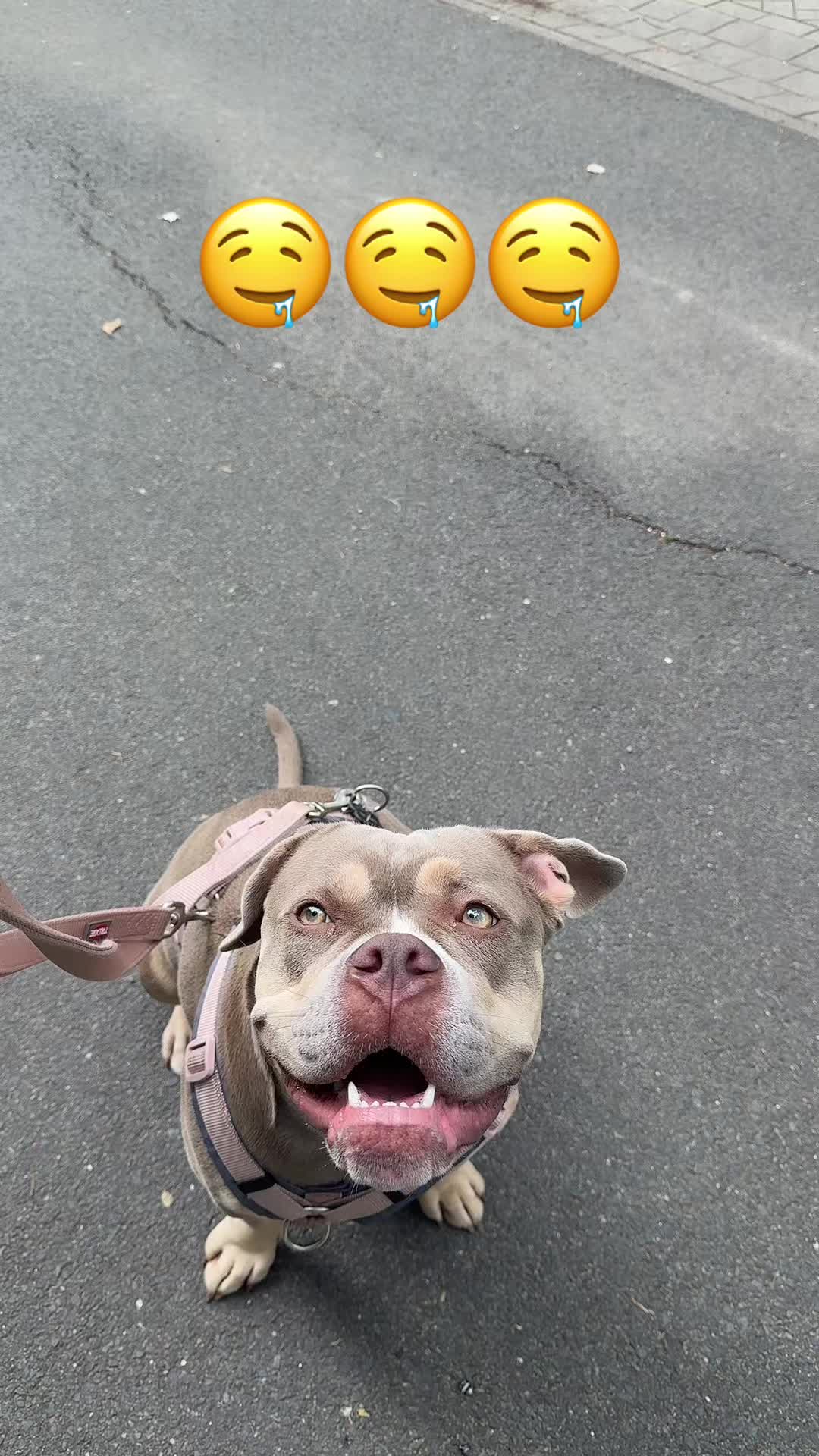 @Milly 🐶🥰