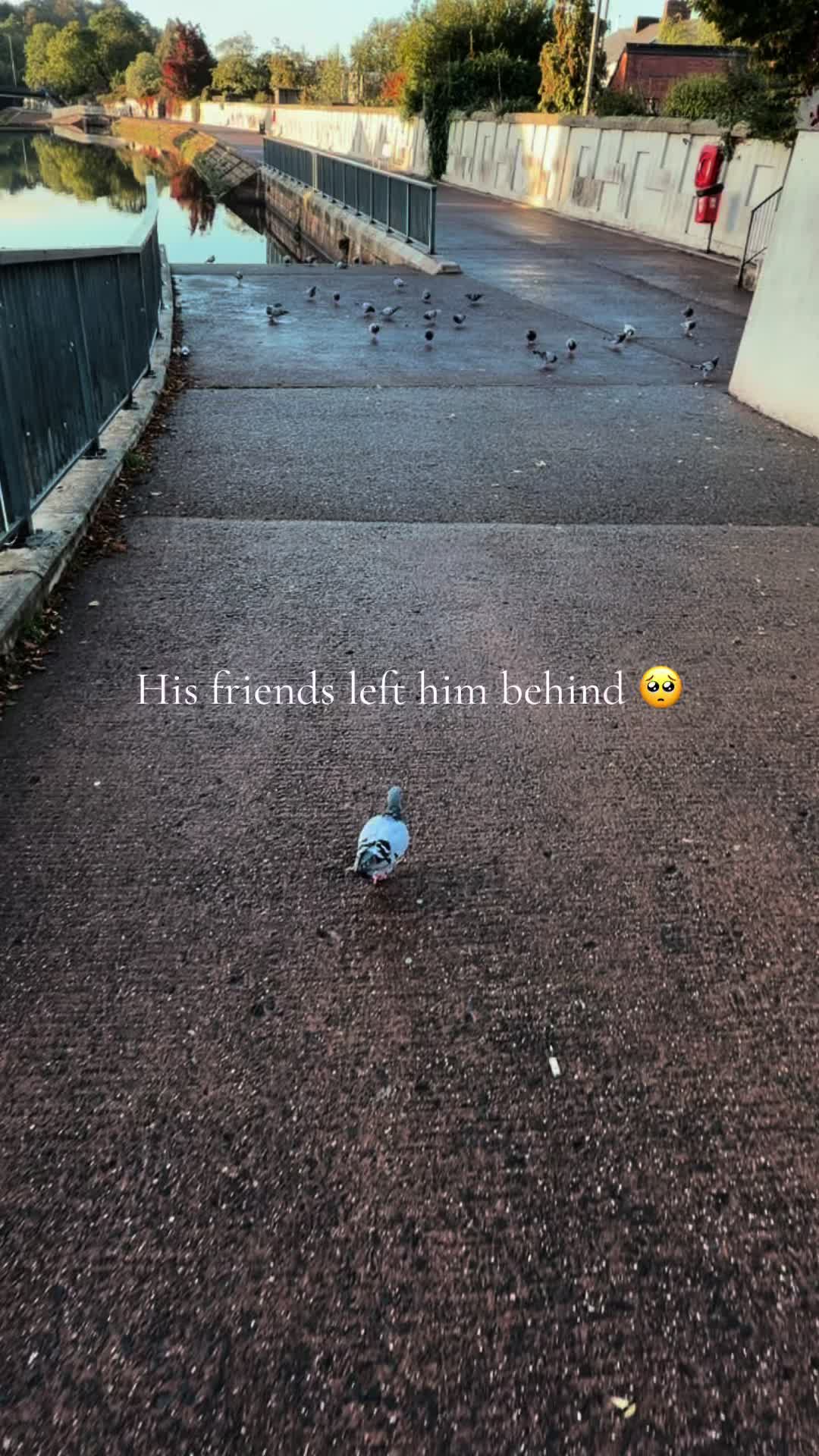 @kerri🦋