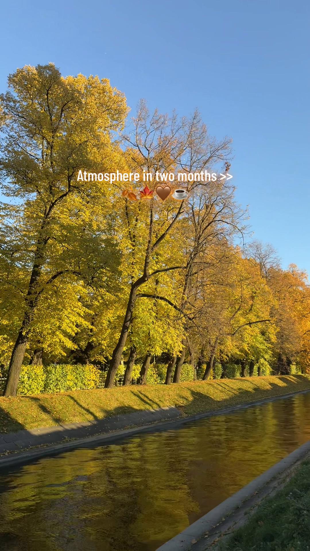 @тгк: Вишневые заметки 🍒