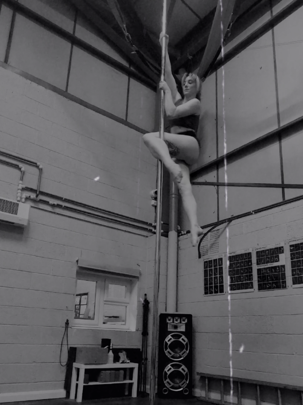 @CourtneyAnneAerial