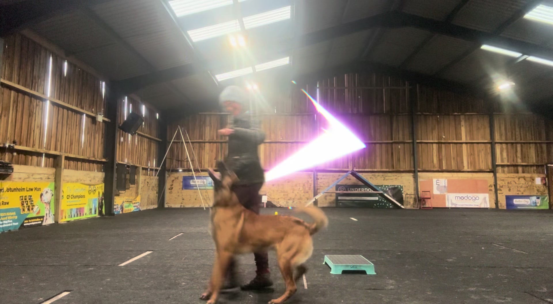 @thedogsportscoach