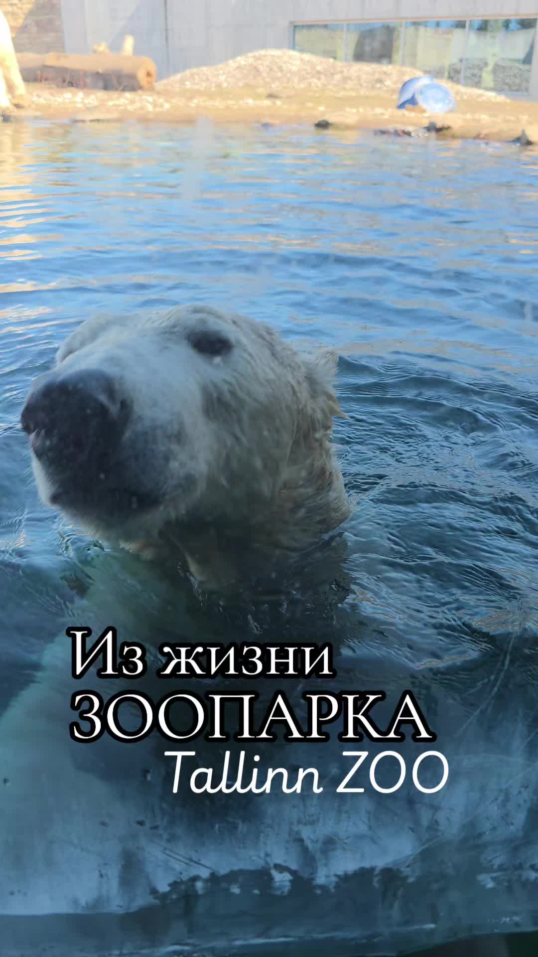 @Женька и Барсик🇱🇻