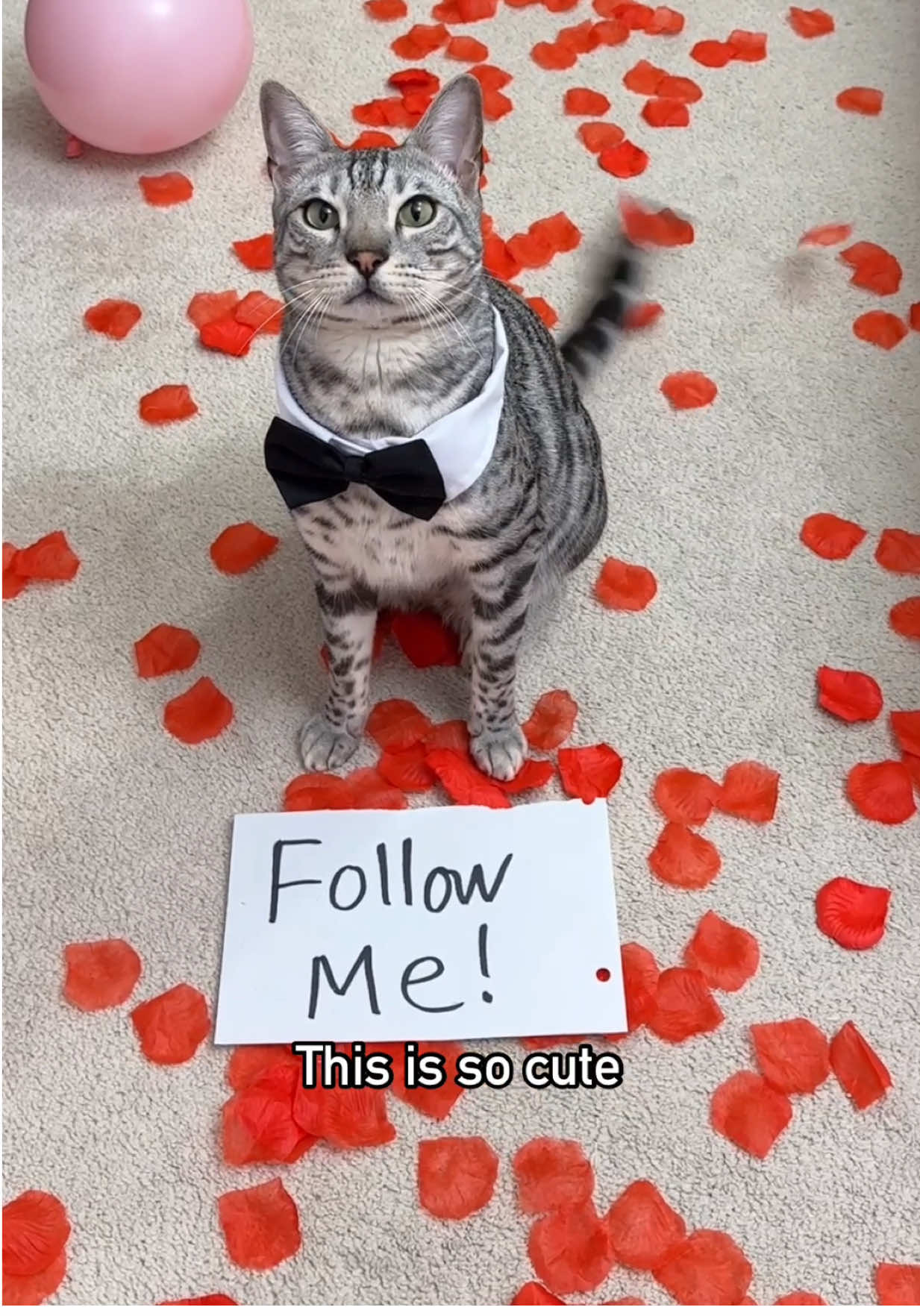 @Ginger, Pepper, & Cinnamon
