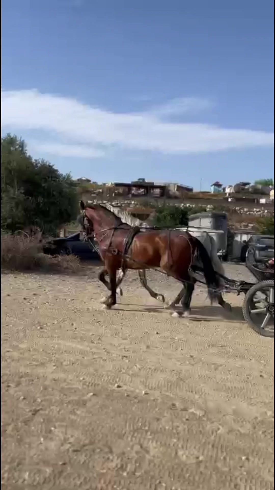 @rafa