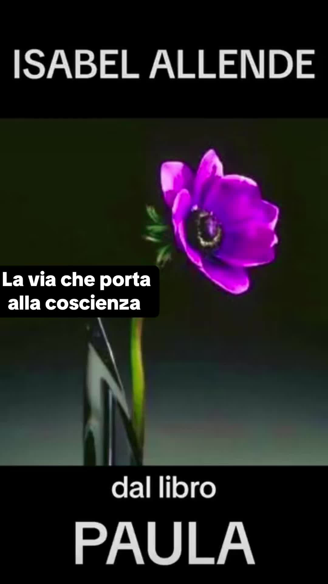 @pietroluigimitrug