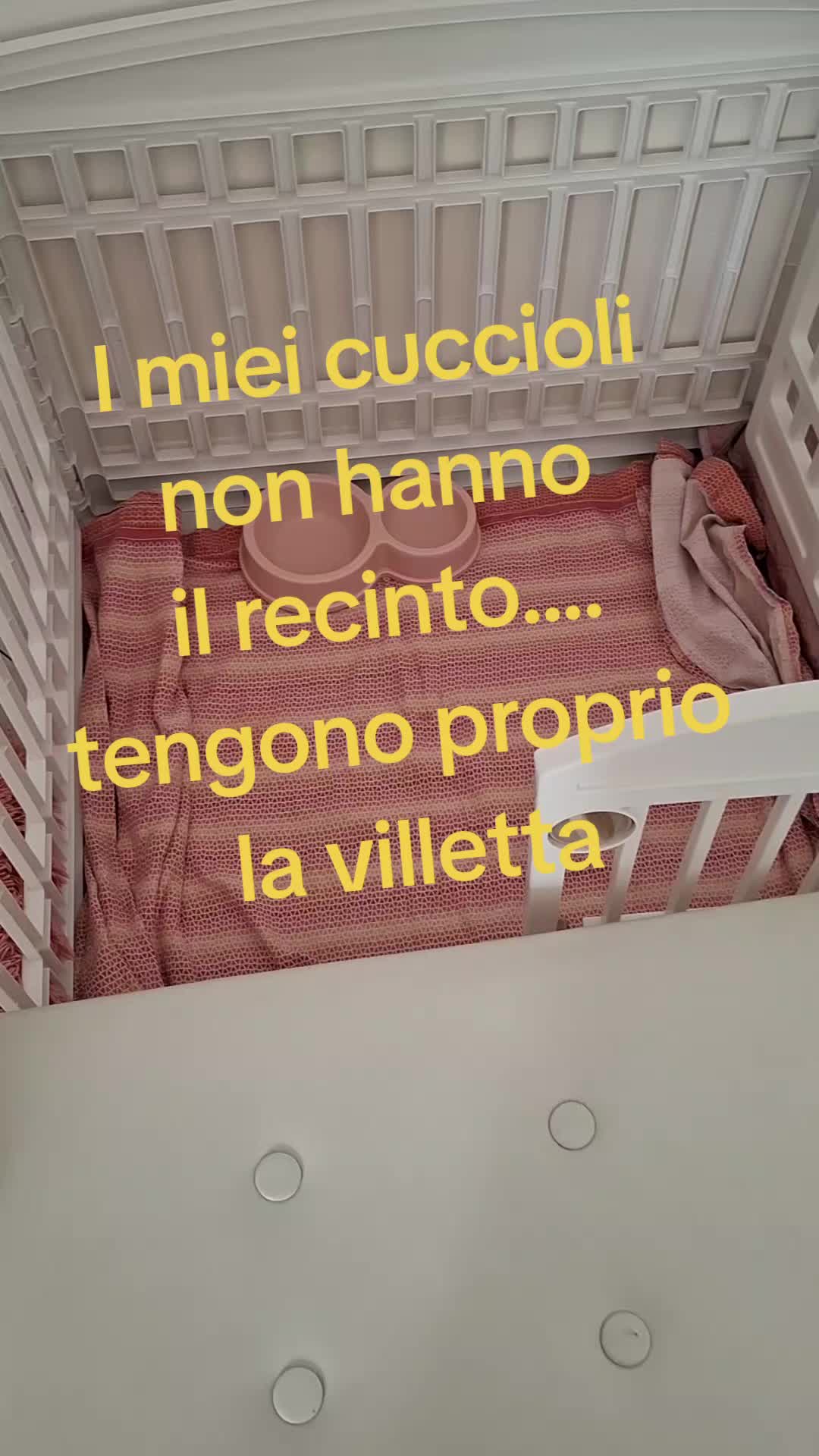 @MenaPalmieri