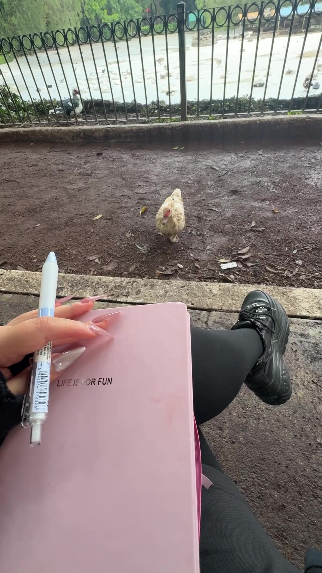 @VIVA LA REZA