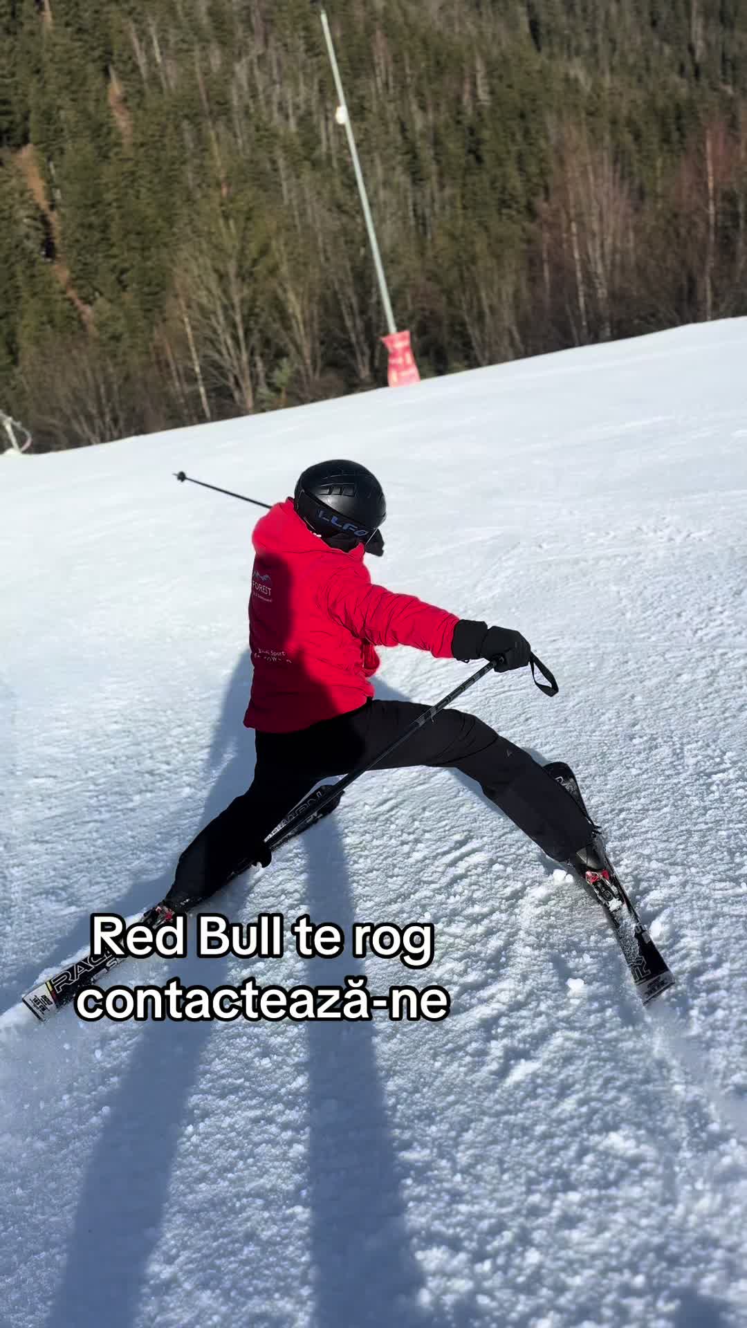 @Forest Ski & Snowboard