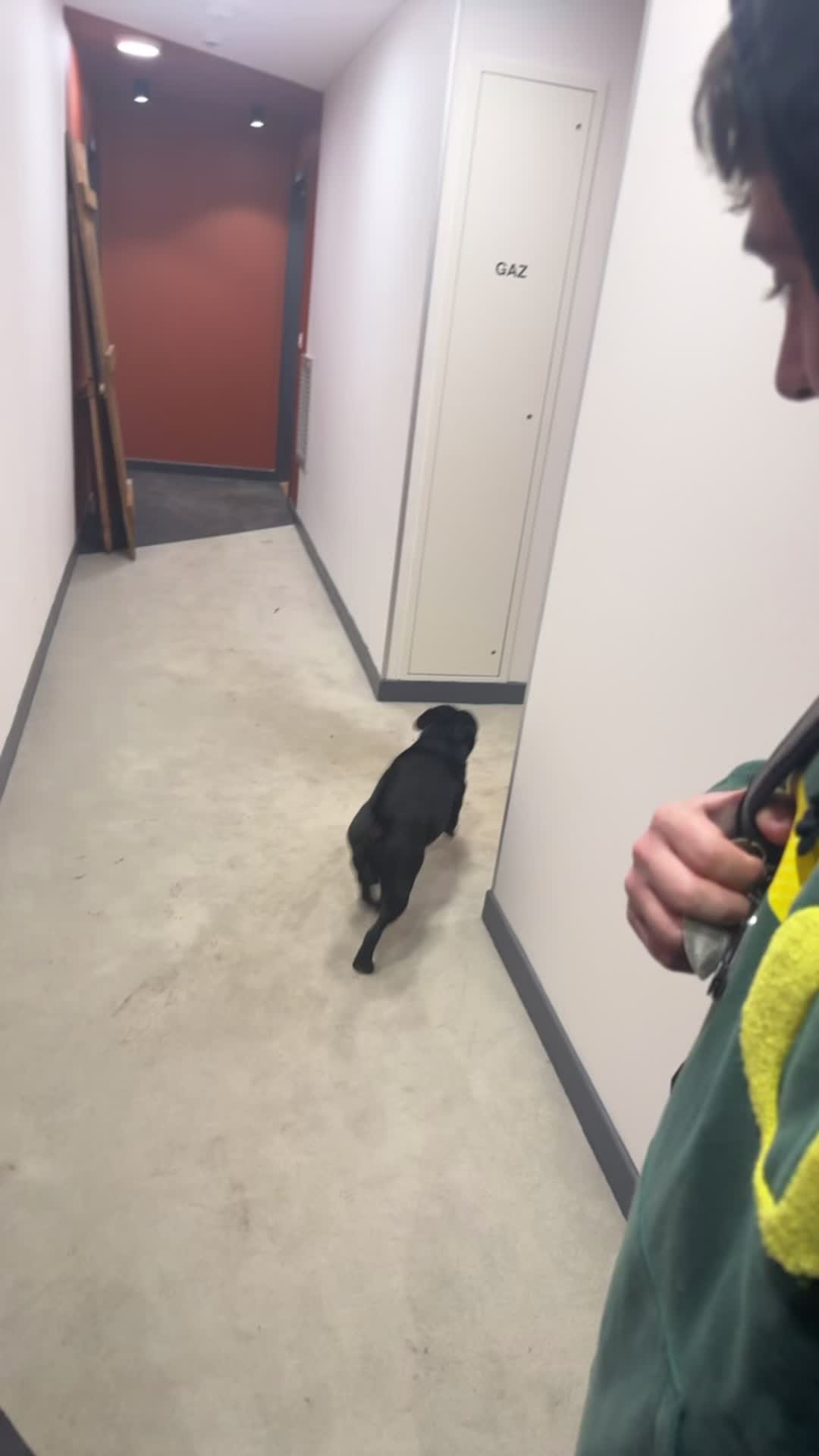 @staffie.young.tao