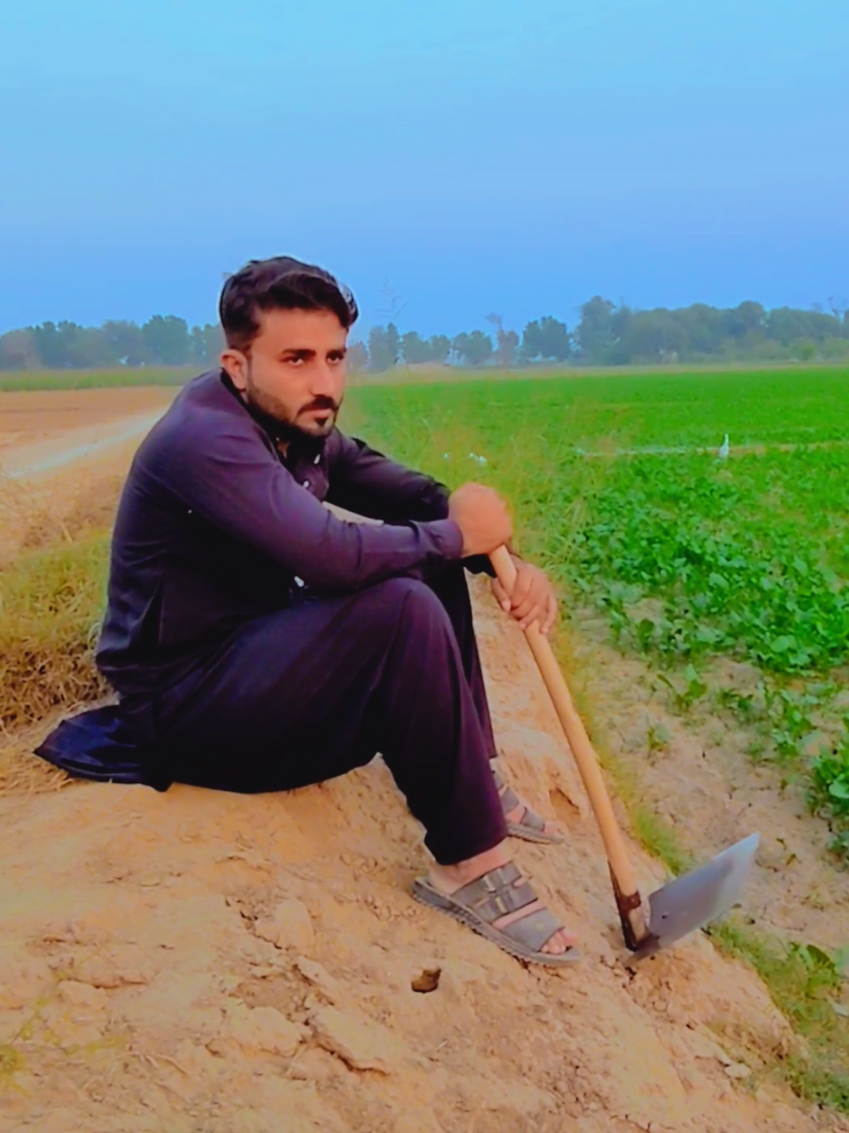 @Mehar Arslan
