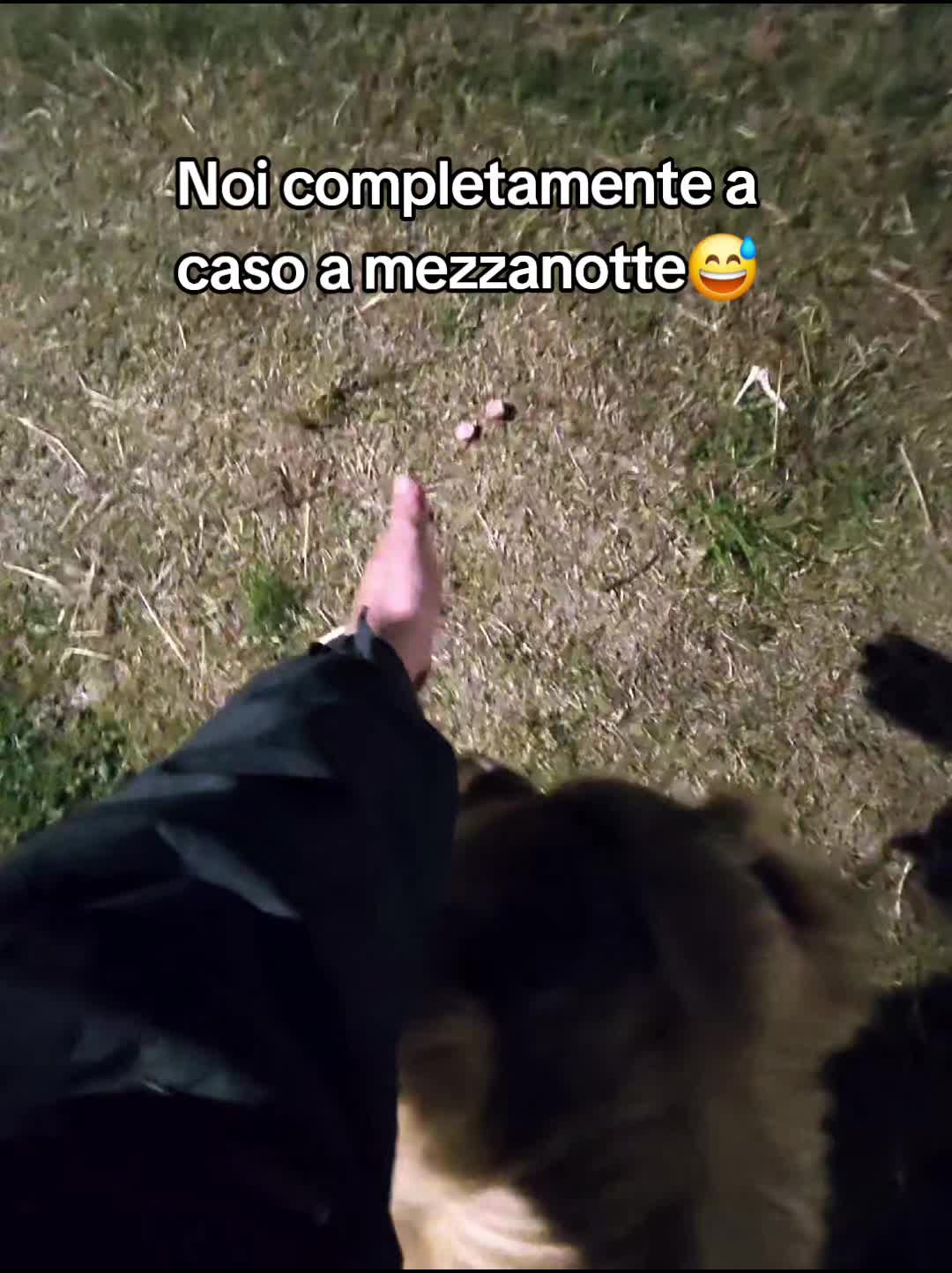 @Felice & Ryan