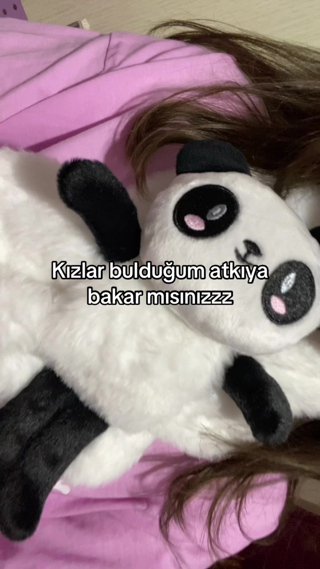 @lidyamai