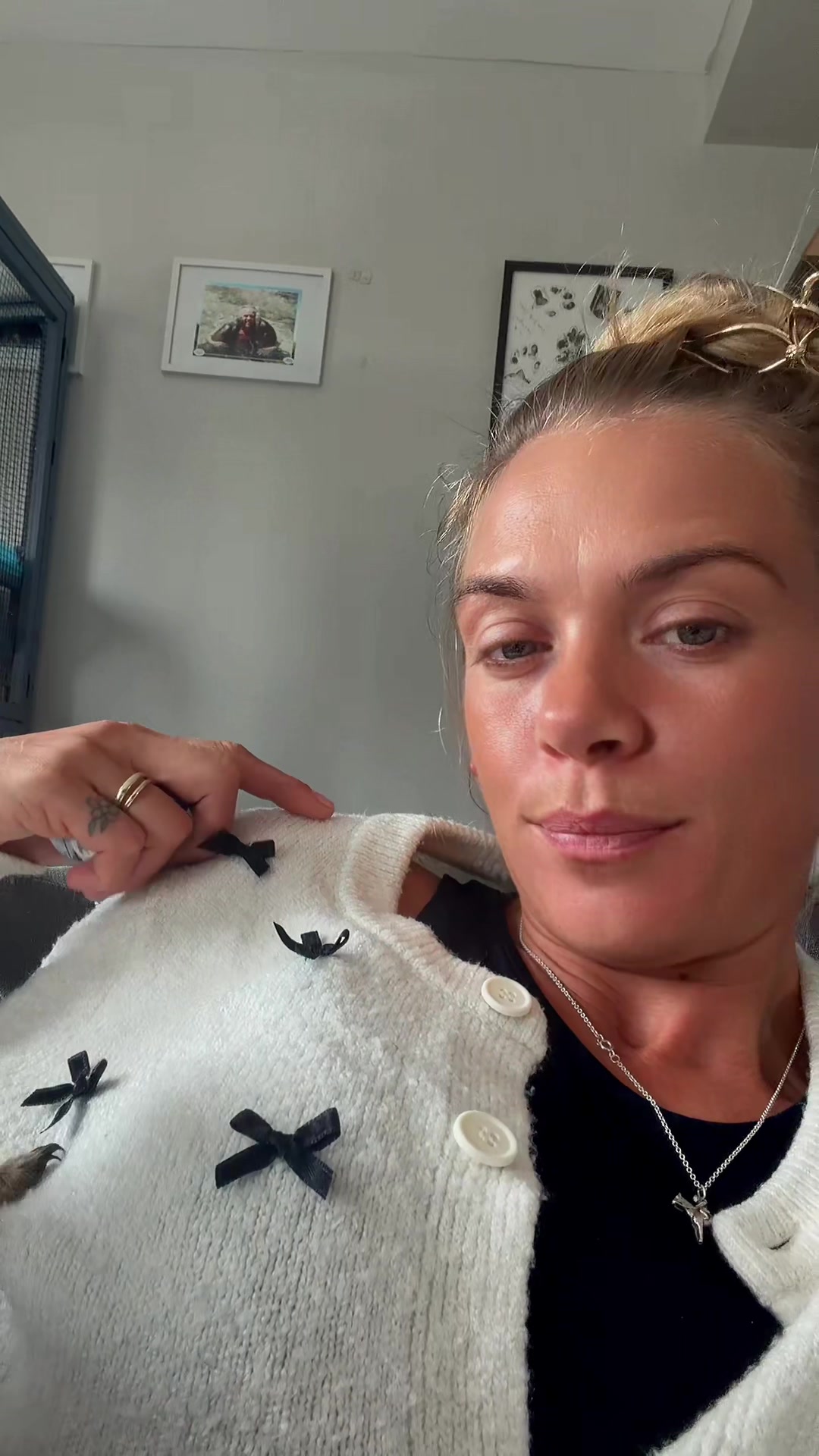 @horsetiktoc