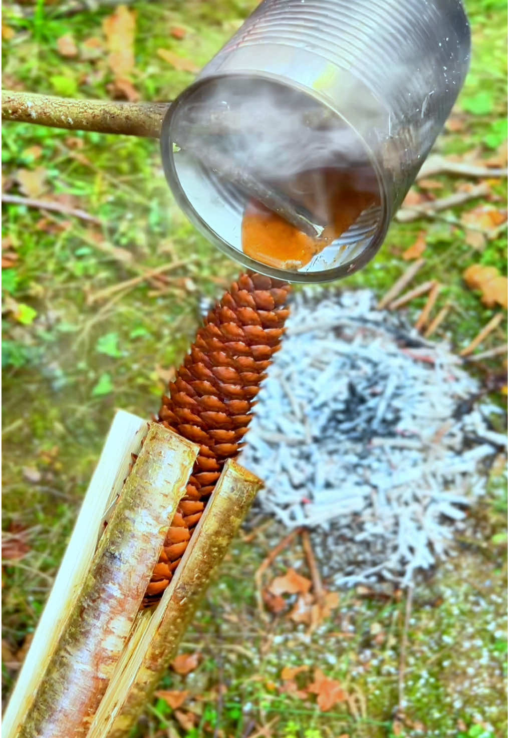 @LastBush Survival TikTok