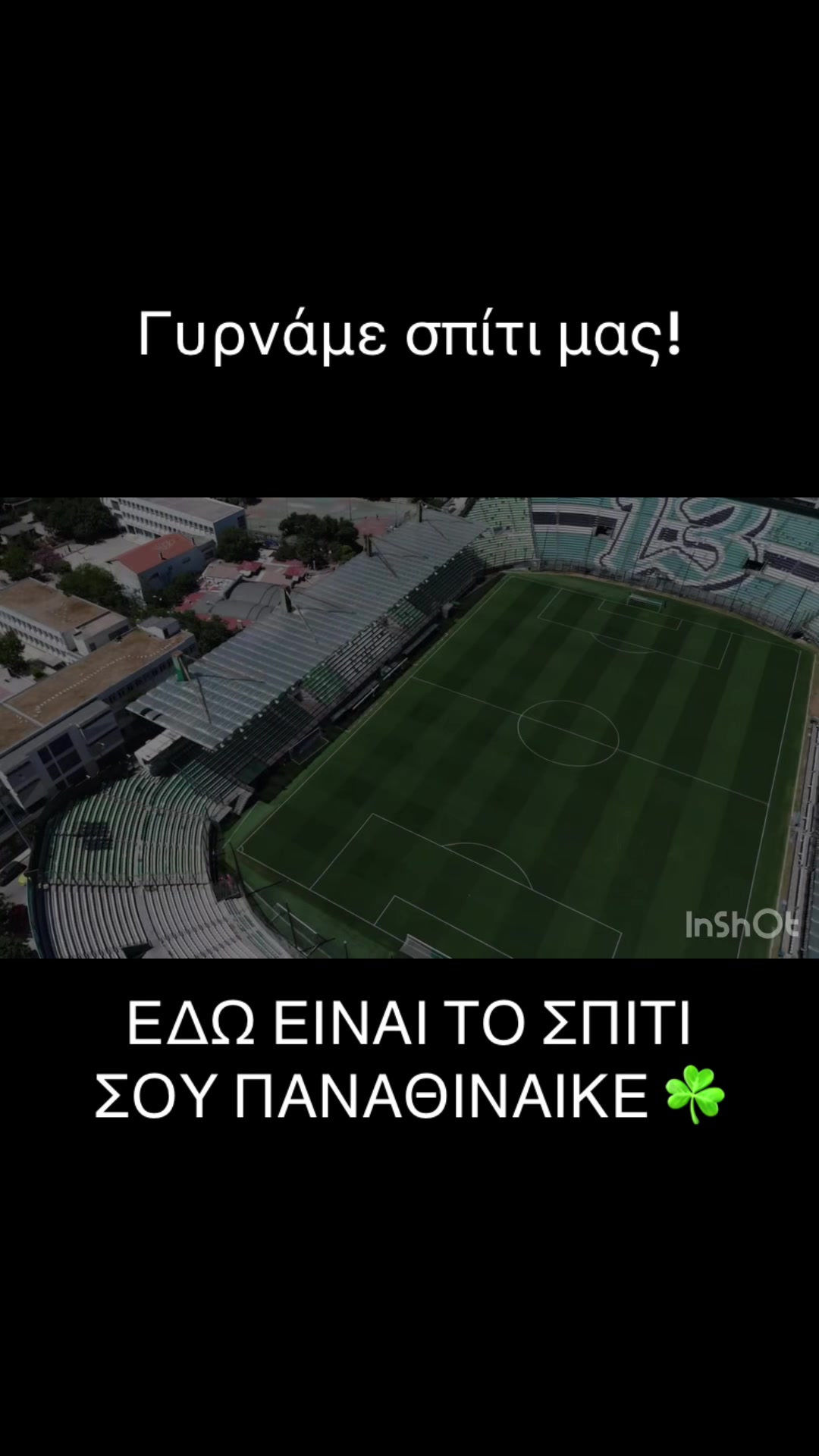 @Green blood☘️