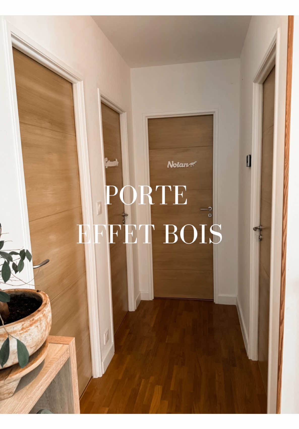 @La maison des petits lions