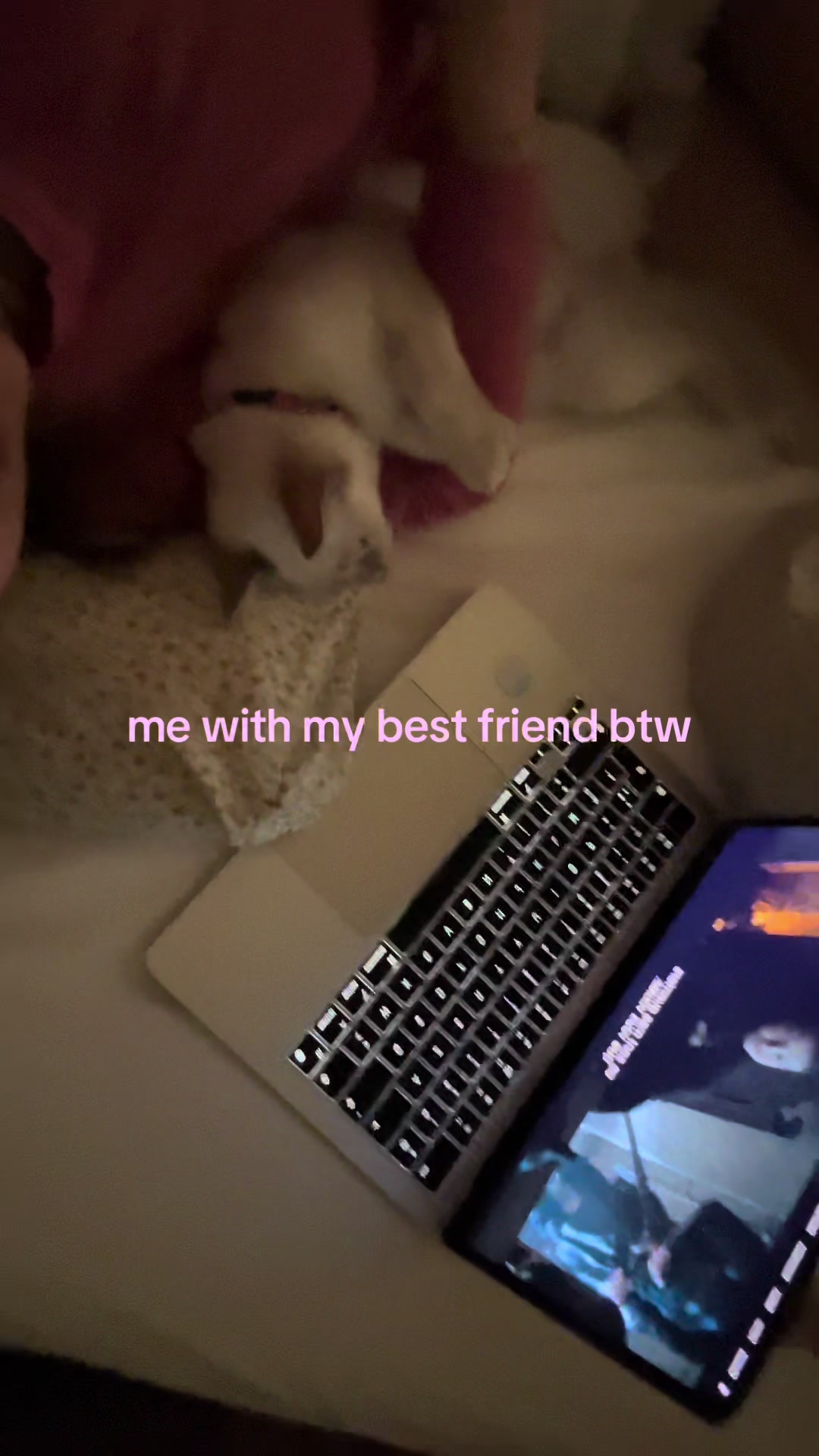 @léo