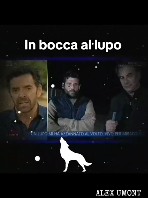 @Alex Umont