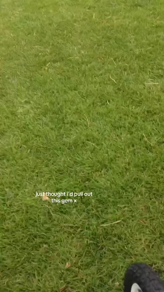 @𝐭𝐫𝐢𝐱𝐢𝐞