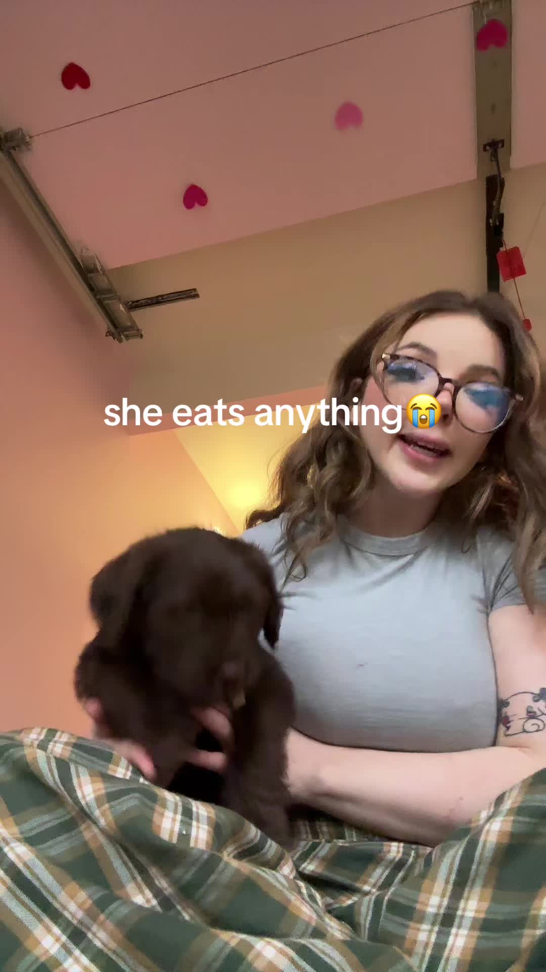 @Charli