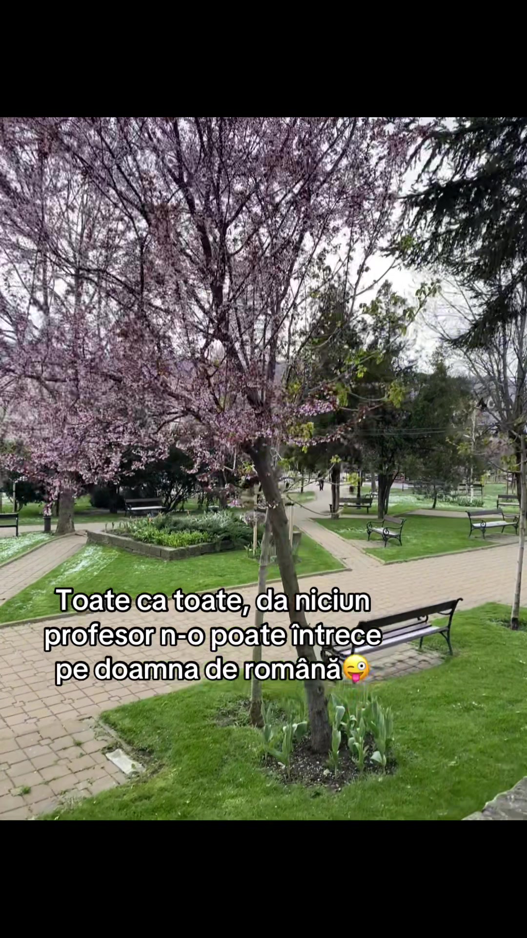 @𝓭𝓪𝓻𝓲𝓪