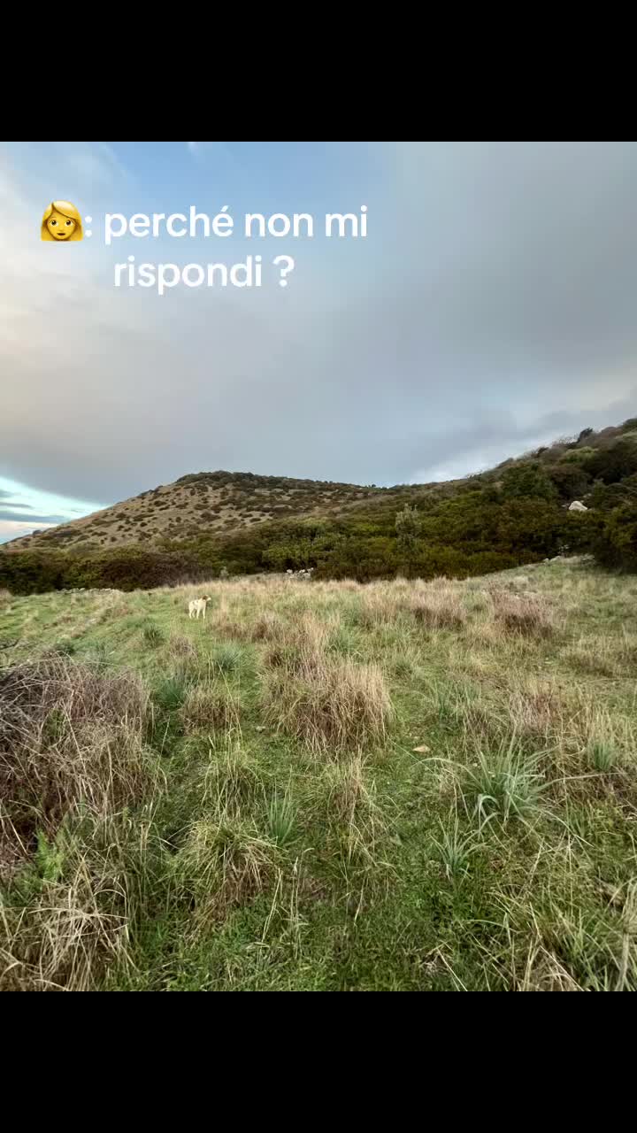 @Angelo.Pitzalis