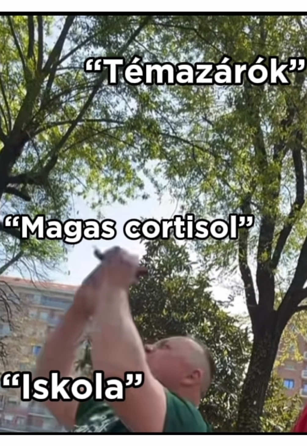 @magyarvicc