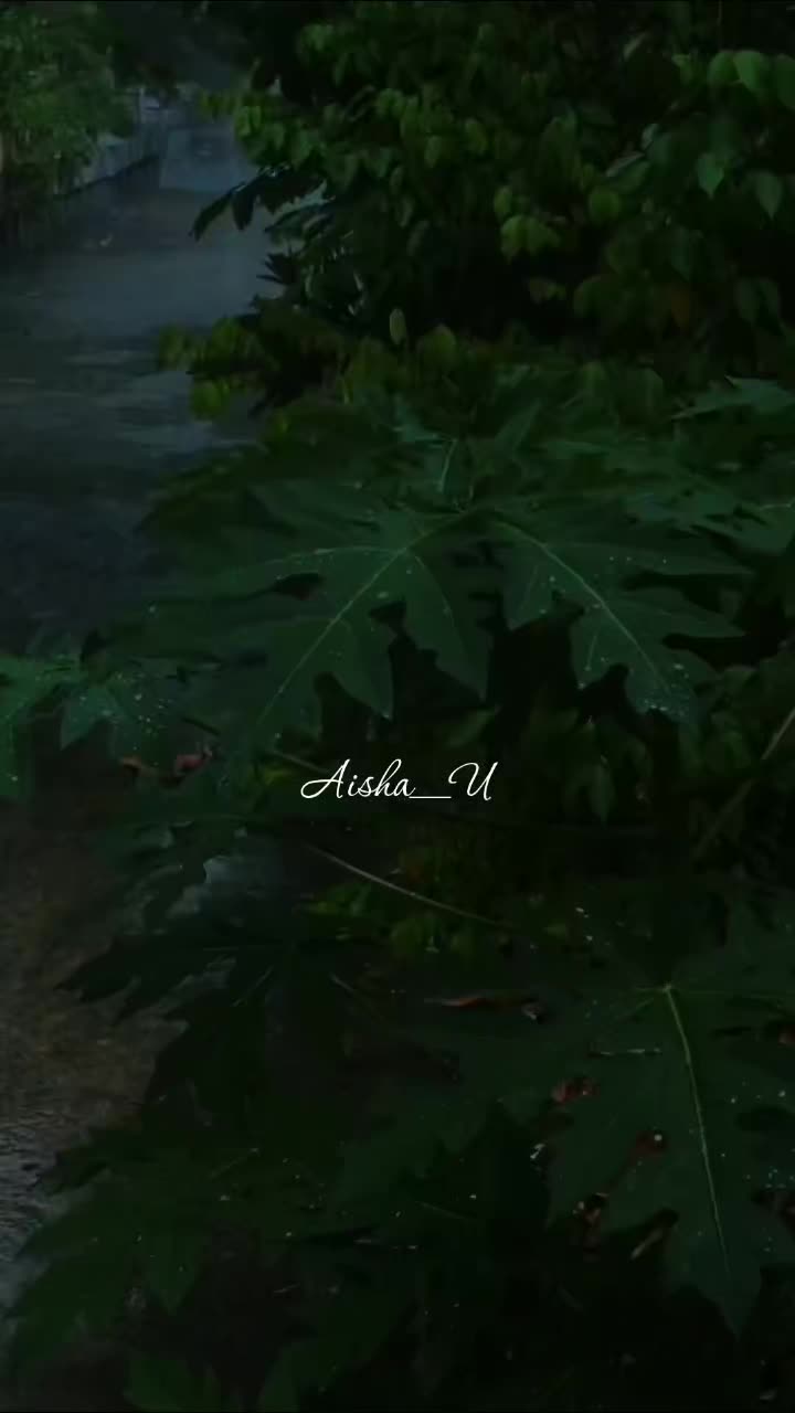 @Aisha_U