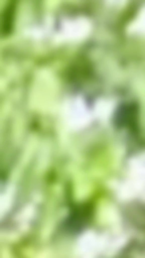 @𝗥𝗶𝘁𝗵𝘂𝘂𝘂 🤍💐!