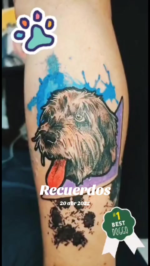 @karloz_Aguirre0411