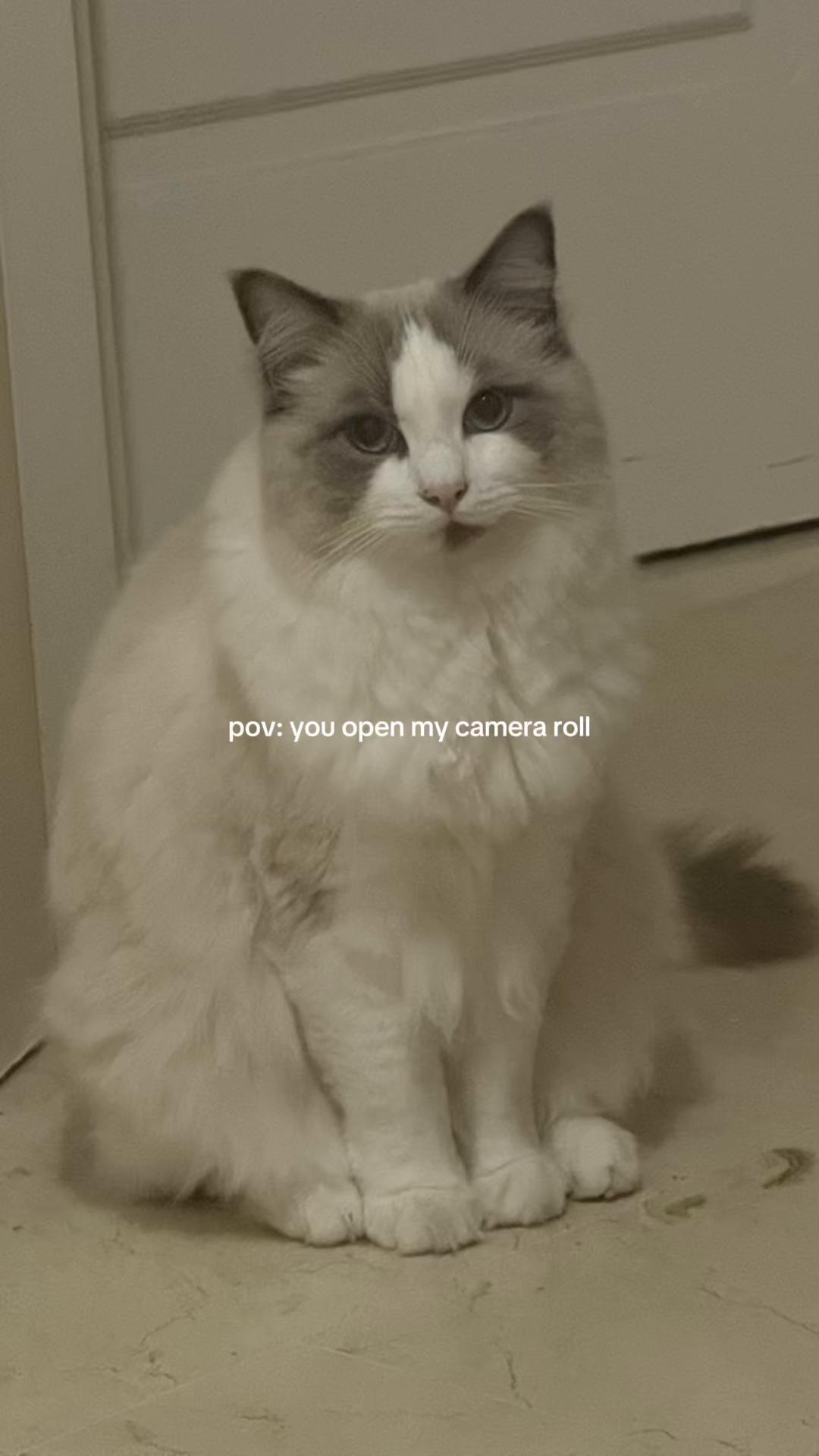 @Law