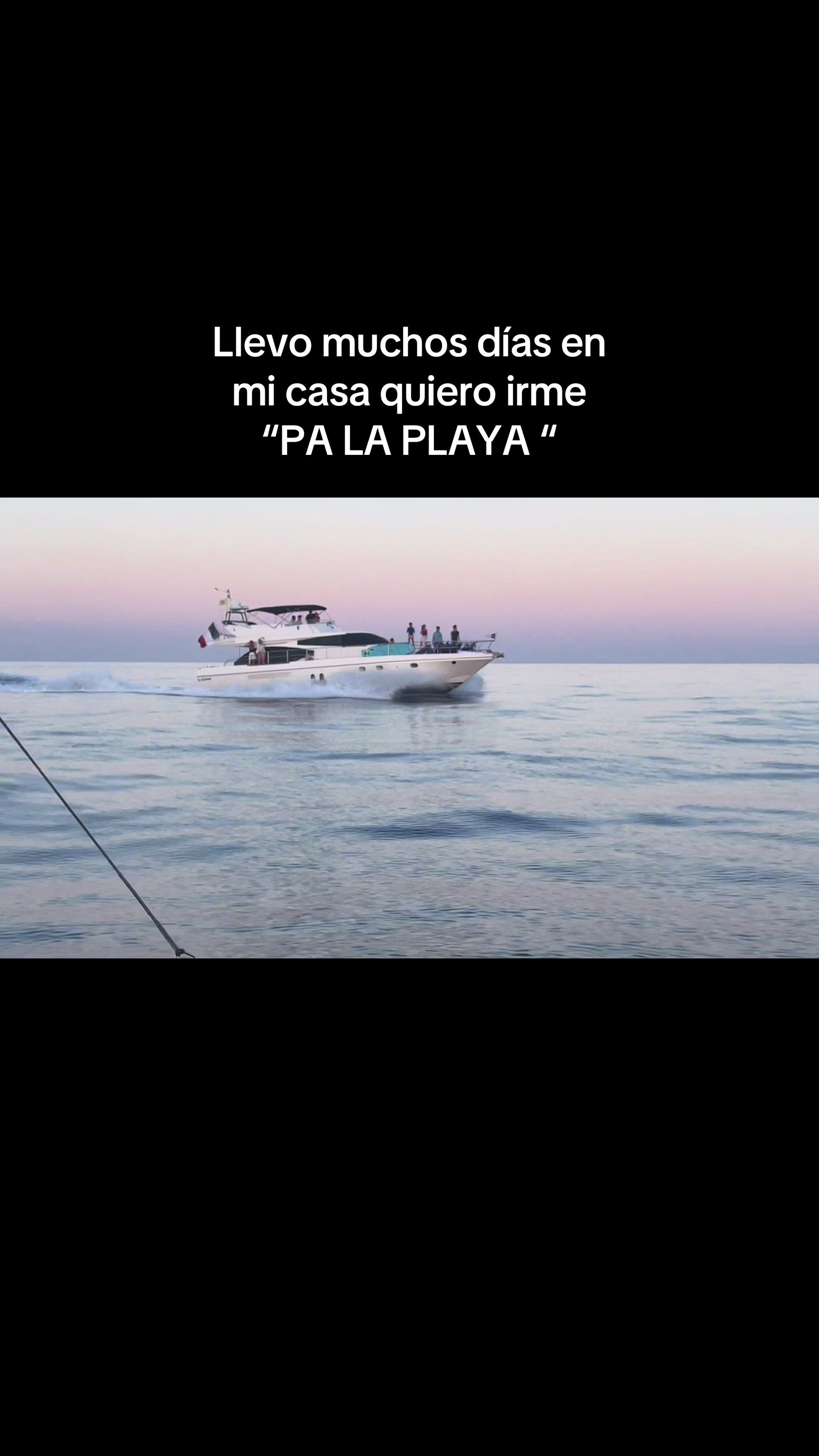 @Ida_dlp