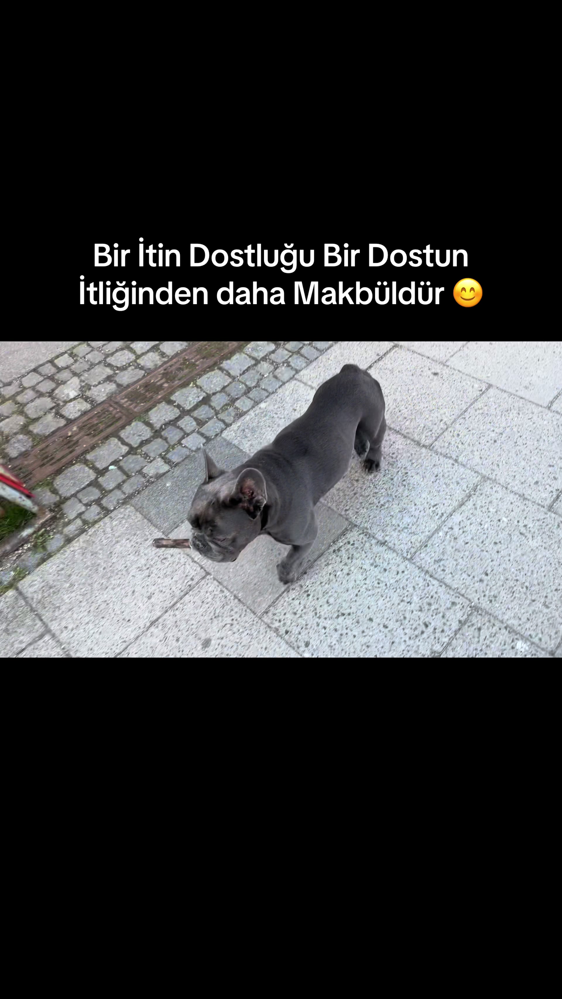 @Tinyabalı