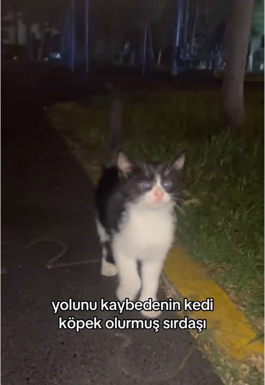@Sıla🐆