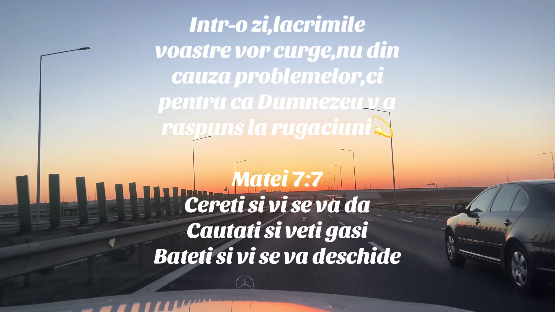@Elena Ilinca