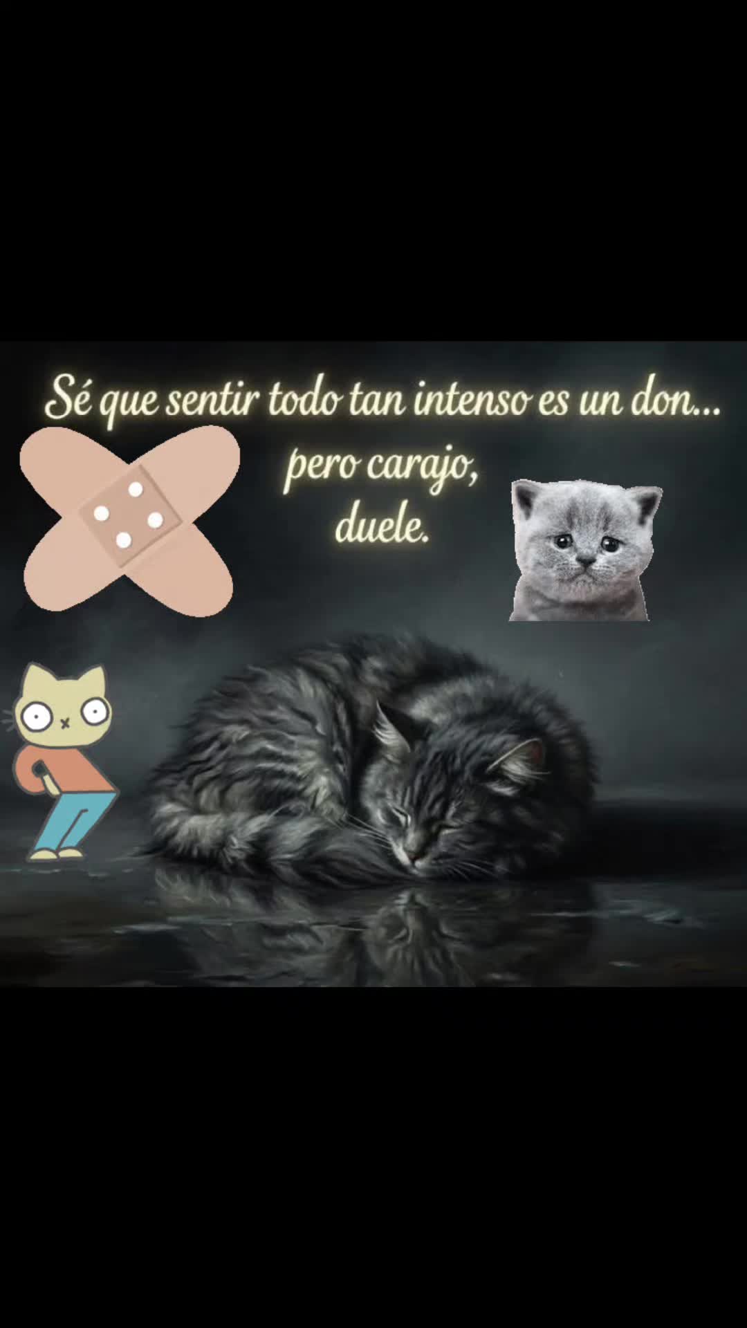 @❤️💛💜Nelo 2.0 🐈&zwj;⬛🐈🙀