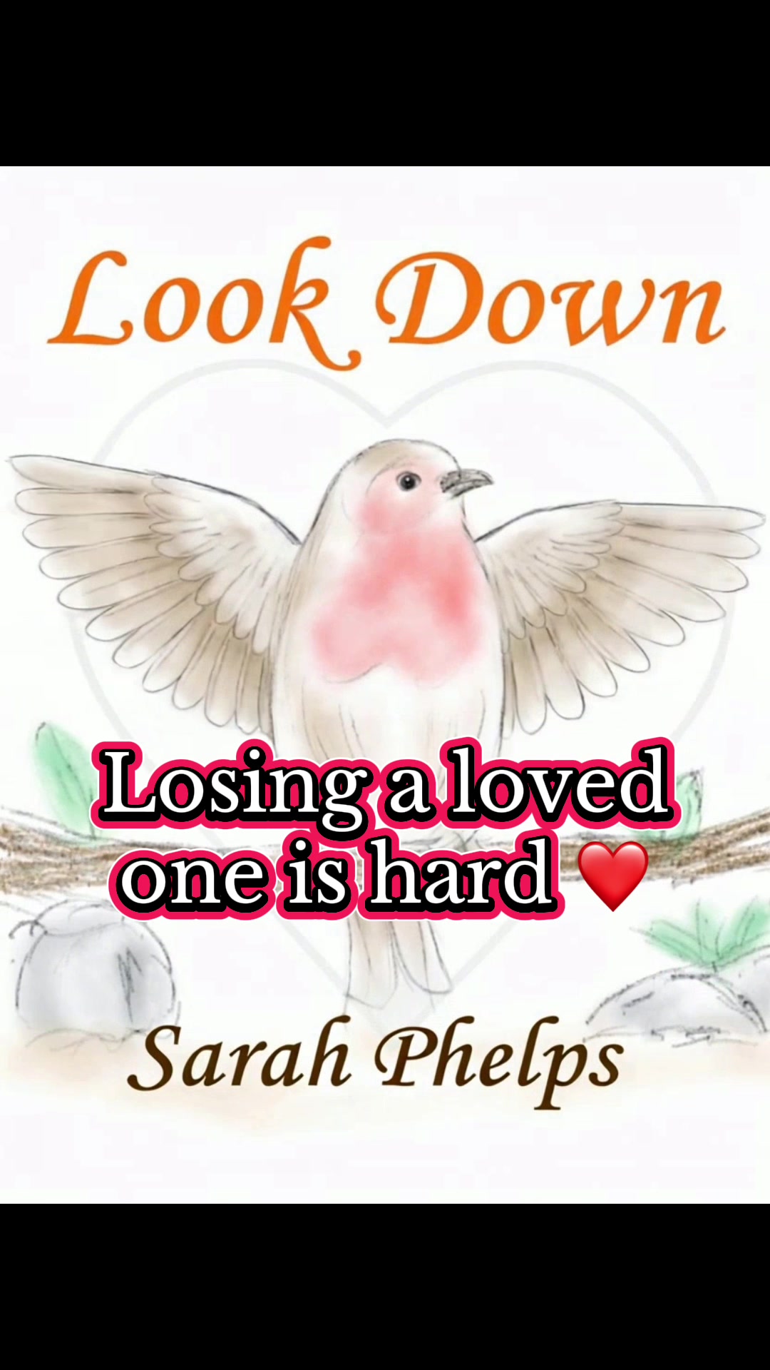 @Sarah Phelps Author