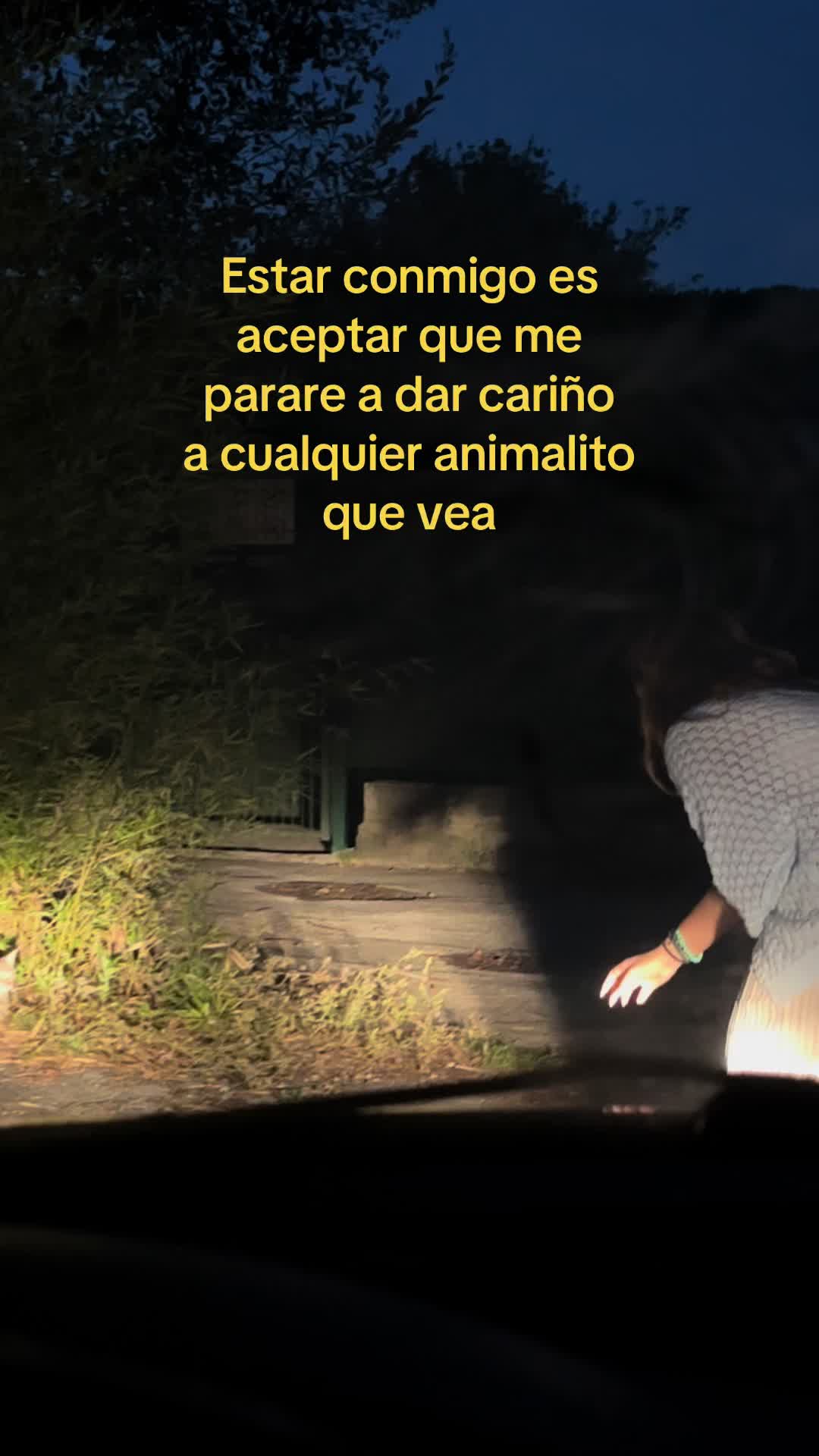 @Garazii🩵