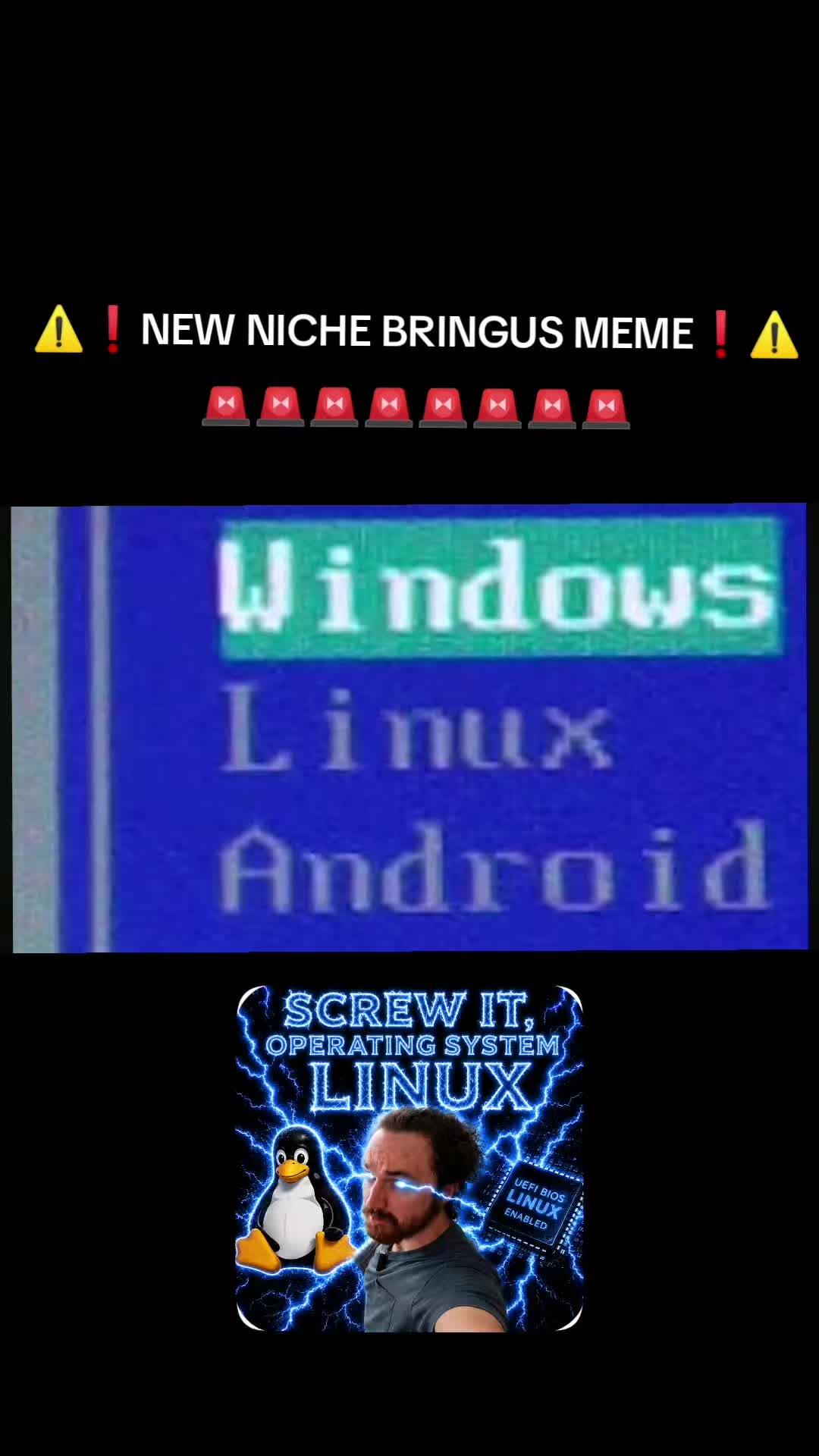 @𝙩𝙪𝙧𝙩𝙡🐢🫪