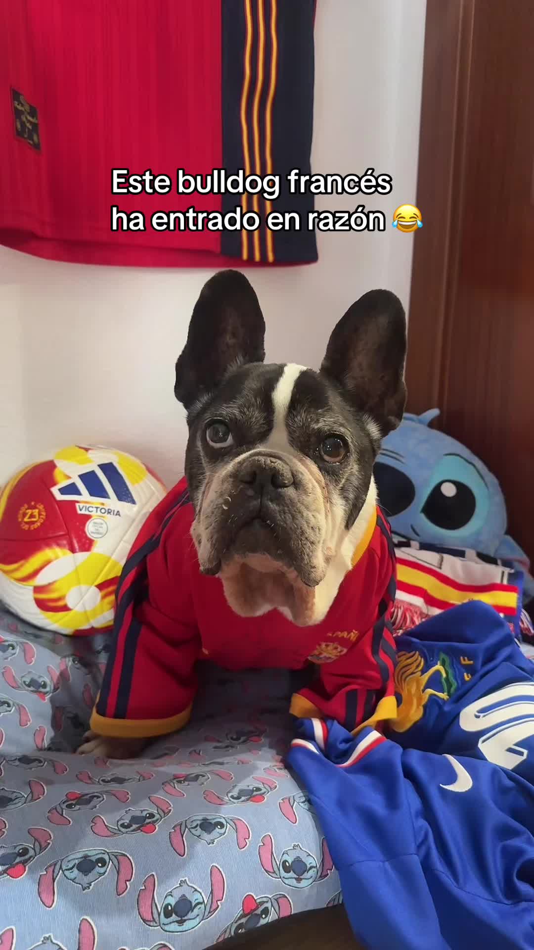 @emedemaestra5