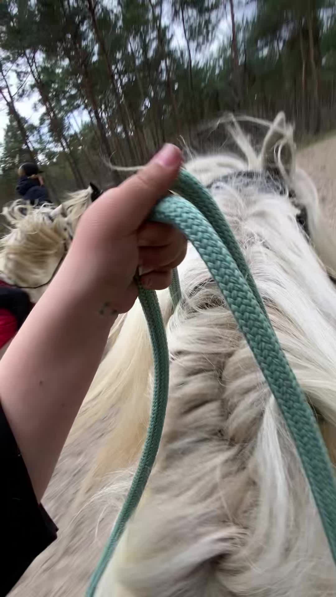 @Amy 🫶🏻🐴