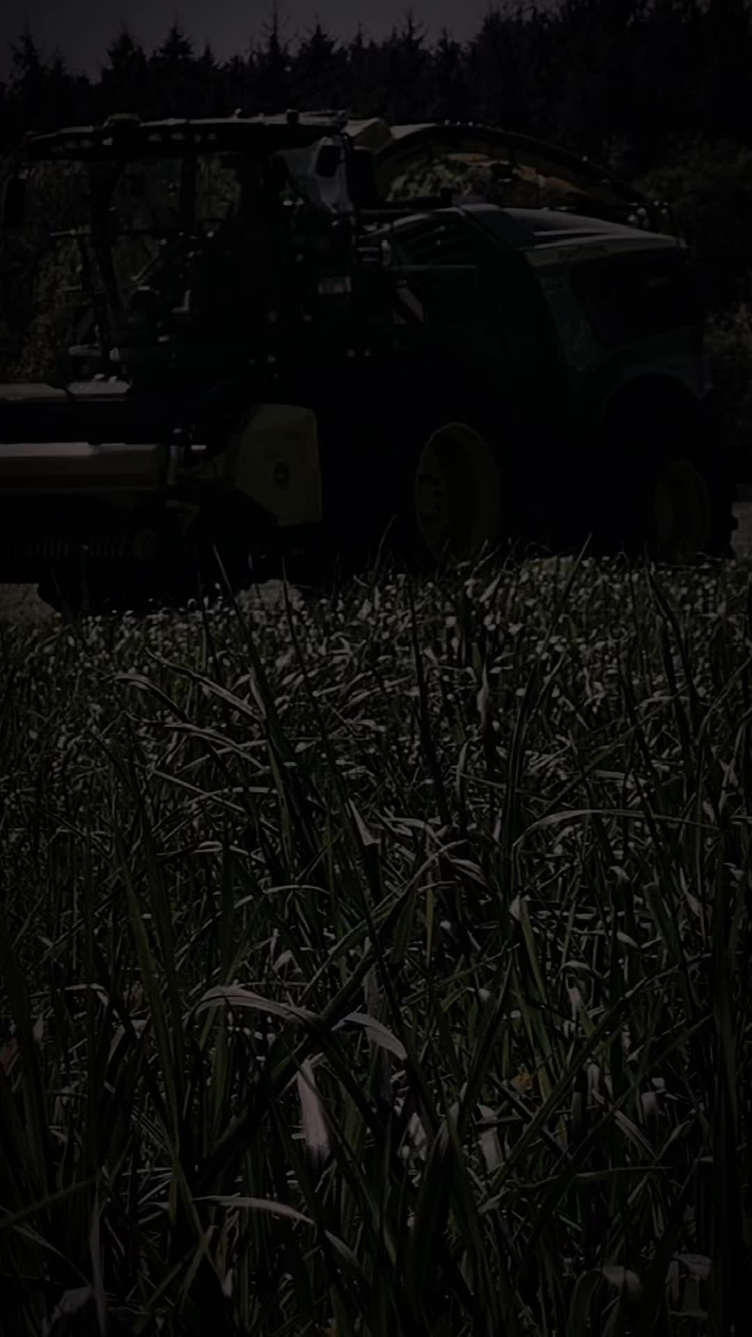 @Markus M.