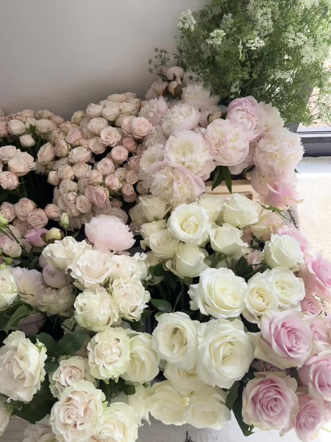 @Lily Cora Flowers 🌸