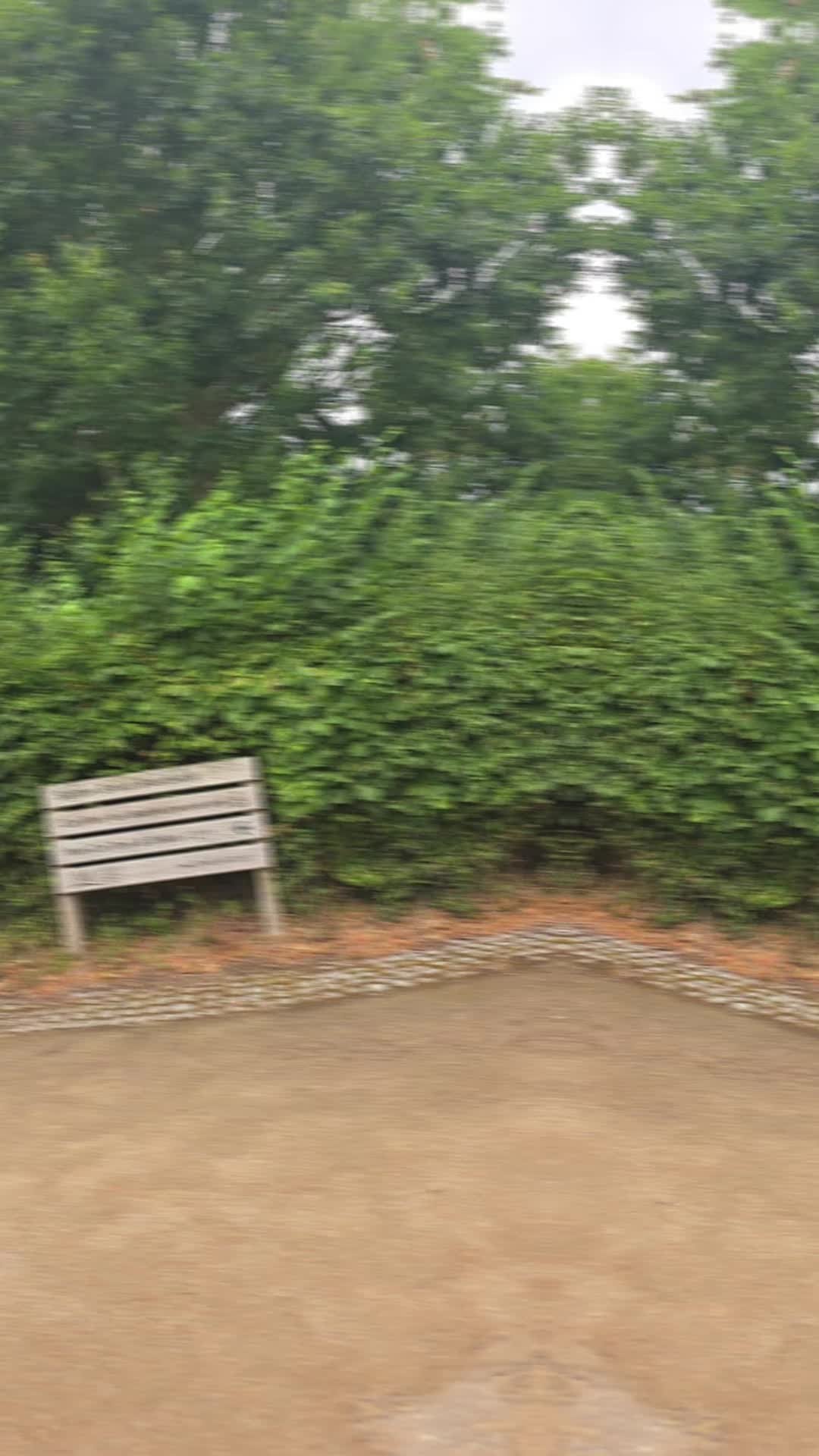 @فَرَح ❤️